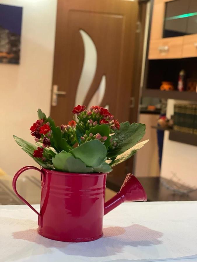 Bucuresti Comfort Apartment Εξωτερικό φωτογραφία